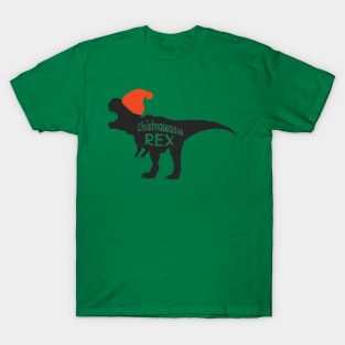 Christmasaous Rex, Santa Claus Dinosaur, Santasaurus Rex, Christmas Dinosaur, Dinosaur T-Shirt